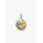 Charm Medallion Acquario Pandora Charm Medallion Acquario Pandora