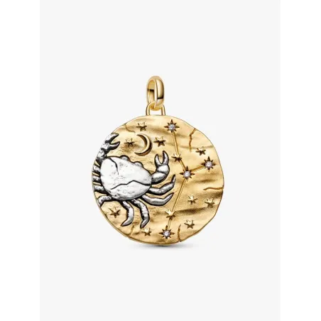 Charm Medallion XL Cancro "Intuitio Animi" Donna Pandora