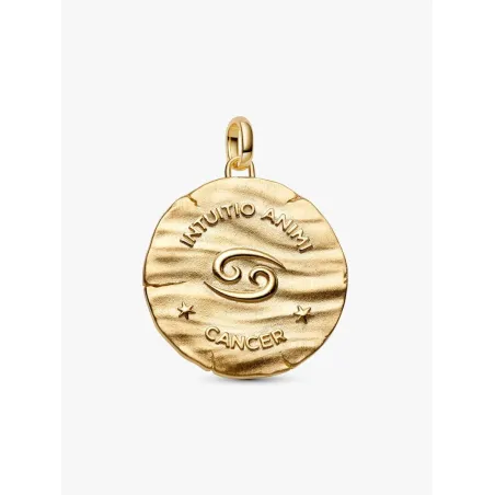 Charm Medallion XL Cancro "Intuitio Animi" Donna Pandora