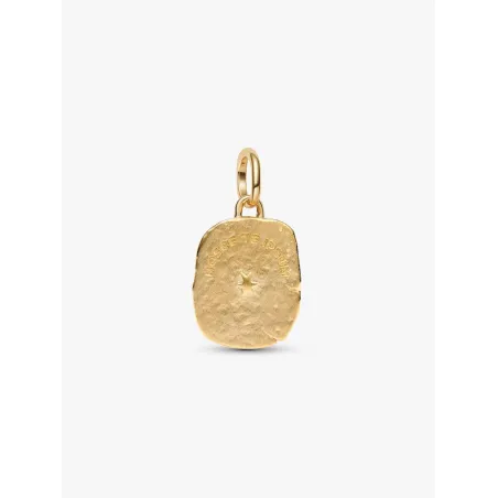 Charm Medallion Occhio "Nosce Te Ipsum" Donna Pandora