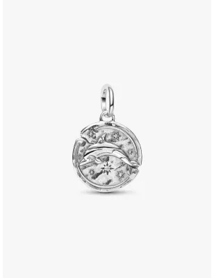 Charm Medallion Delfino Donna Pandora