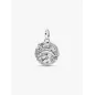 Charm Medallion Delfino Donna Pandora Charm Medallion Delfino Donna Pandora