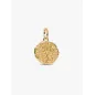 Charm Dorato Medallion Spiga di Grano Donna Pandora