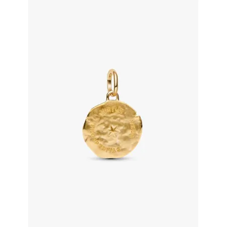 Charm Dorato Medallion Spiga di Grano Donna Pandora
