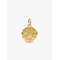 Charm Dorato Medallion Spiga di Grano Donna Pandora