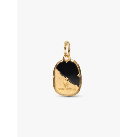 Charm Medallion Gufo "Lux Et Sapientia" Donna Pandora