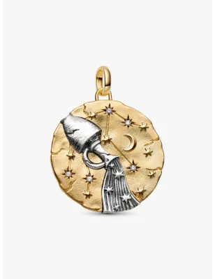 Charm Medallion XL Acquario Donna Pandora