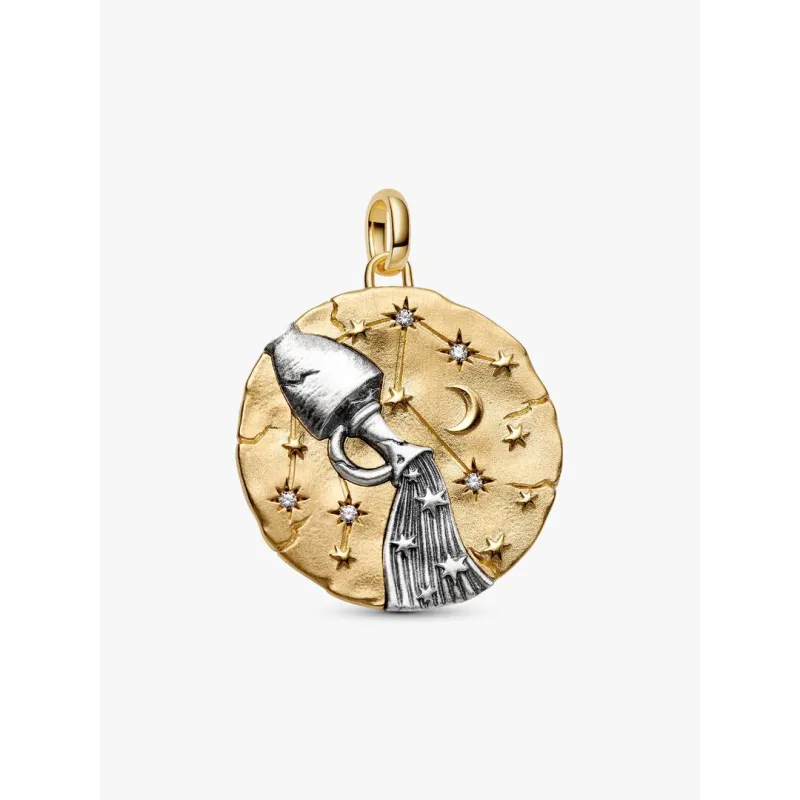 Charm Medallion XL Acquario Donna Pandora Charm Medallion XL Acquario Donna Pandora