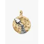 Charm Medallion XL Acquario Donna Pandora Charm Medallion XL Acquario Donna Pandora