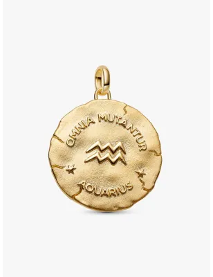 Charm Medallion XL Acquario Donna Pandora