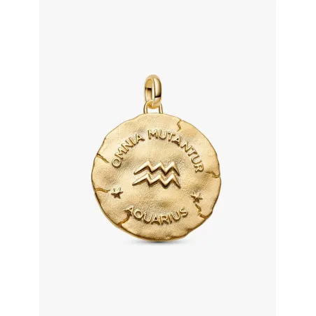 Charm Medallion XL Acquario Donna Pandora