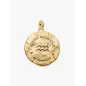 Charm Medallion XL Acquario Donna Pandora Charm Medallion XL Acquario Donna Pandora