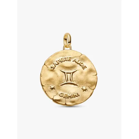 Charm Medallion XL Gemelli Donna Pandora