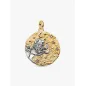 Charm Medallion XL Leone Donna Pandora