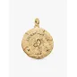 Charm Medallion XL Leone Donna Pandora