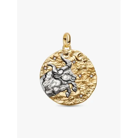 Charm Medallion XL Toro Donna Pandora