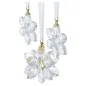 Annual Edition Set Decorazioni 3D 2026 Bianco Swarovski Annual Edition Set Decorazioni 3D 2026 Bianco Swarovski