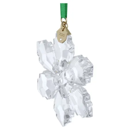 Annual Edition Decorazione 2026 Swarovski
