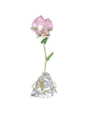 DECORAZIONE FLORERE ROSA SWAROVSKI 5666973 Swarovski