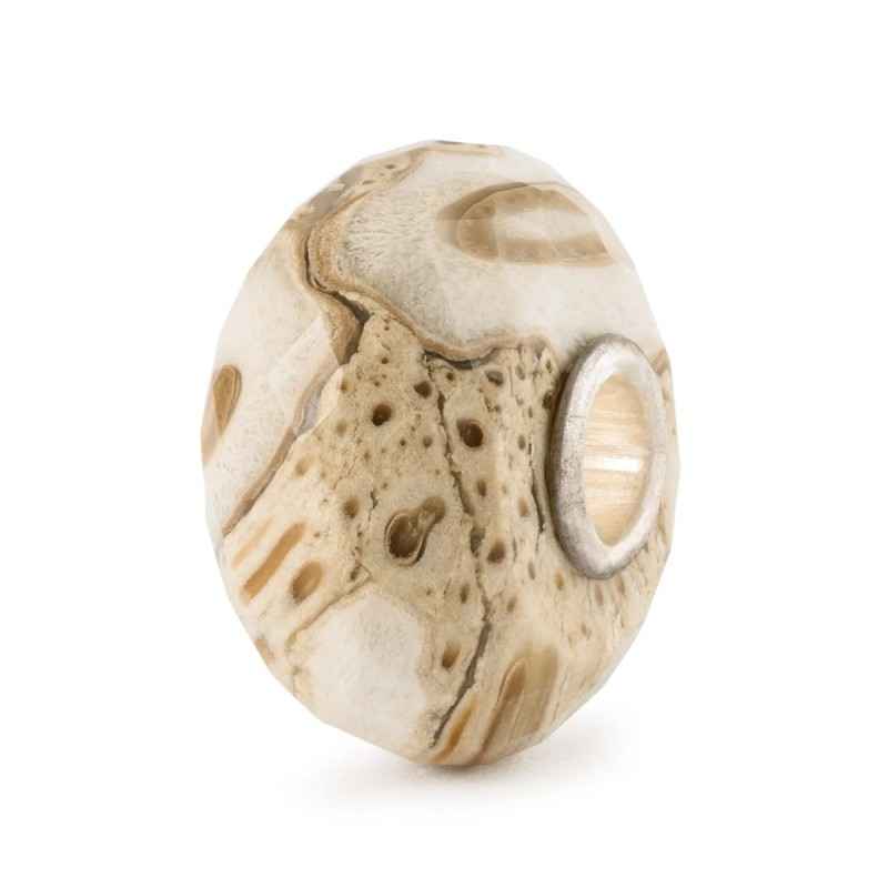 BEAD LEGNO FOSSILE TROLLBEADS