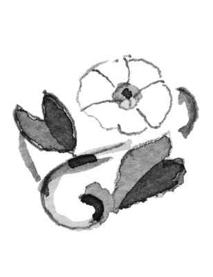 BEAD CONVOLVOLO DI SETTEMBRE DONNA TROLLBEADS  tagbe-00035 Trollbeads