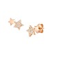 ORECCHINI STELLE E ZIRCONI PVD ORO ROSA NOMINATION