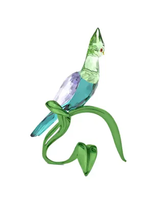 Decorazione Idyllia Turaco verde Swarovski 5693147 Swarovski