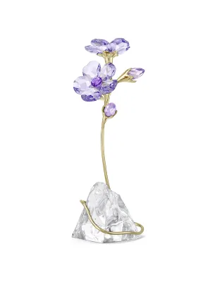 Decorazione Florere Rozanne Donna Swarovski
