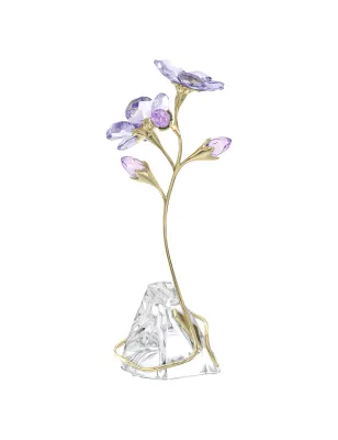 Decorazione Florere Rozanne Donna Swarovski
