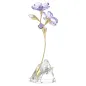 Decorazione Florere Rozanne Donna Swarovski