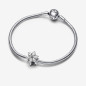 CHARM HERBARIUM FIORE LUMINOSO DONNA PANDORA CHARM HERBARIUM FIORE LUMINOSO DONNA PANDORA