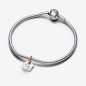 CHARM PENDENTE CASA DELLA NONNA DONNA PANDORA 