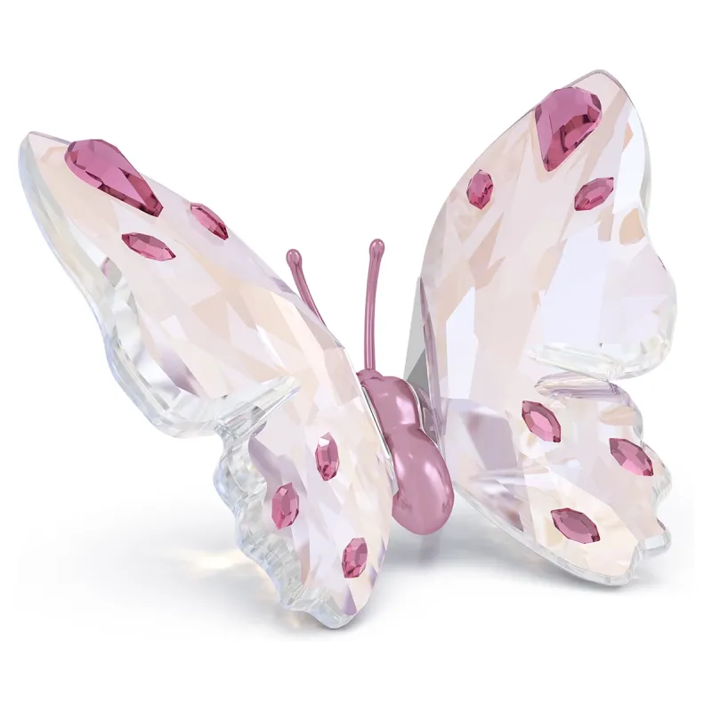Decorazione Idyllia Farfalla Piccola Donna Swarovski Decorazione Idyllia Farfalla Piccola Donna Swarovski