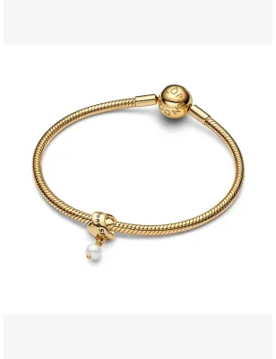 Charm Pendente Qualcuno di Speciale con Perla Donna Pandora 763784C01 Pandora