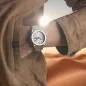 Orologio Swiss Made Dune Argento Zaffiro Donna Festina Orologio Swiss Made Dune Argento Zaffiro Donna Festina