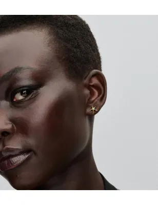 Orecchini Stella Marina Donna Pandora 263820C01 Pandora