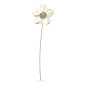 DECORAZIONE ELLEBORO SWAROVSKI GARDEN TALES DECORAZIONE ELLEBORO SWAROVSKI GARDEN TALES