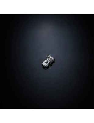 ORECCHINI ZIRCONI MULTICOLOR CHIARA FERRAGNI PRINCESS RAINBOW J19AVS04 Chiara Ferragni