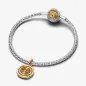Charm IL TRONO DI SPADE ASTROLABIO GIREVOLE DONNA Pandora