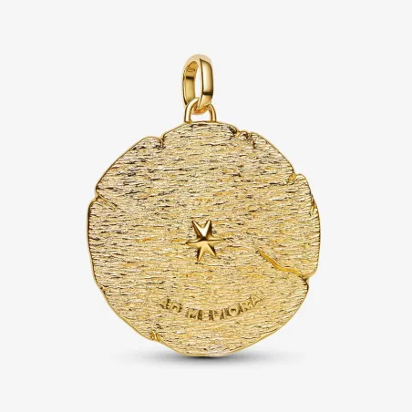 Charm Medallion Grande Frecce "Ad Meliora" Donna Pandora