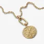 Charm Medallion Grande Frecce "Ad Meliora" Donna Pandora Charm Medallion Grande Frecce "Ad Meliora" Donna Pandora