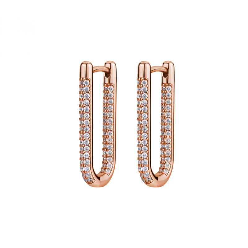 Orecchini ARGENTO PLACCATO ORO ROSA Donna Rosato