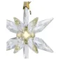 Annual Edition Decorazione 3D 2025 Swarovski Annual Edition Decorazione 3D 2025 Swarovski