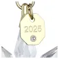 Annual Edition Decorazione 3D 2025 Swarovski Annual Edition Decorazione 3D 2025 Swarovski
