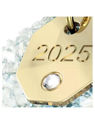 Decorazione Campanella 2025 Annual Edition Swarovski - category_name - XDMG De Marchi Gianotti