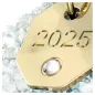 Decorazione Campanella 2025 Annual Edition Swarovski Decorazione Campanella 2025 Annual Edition Swarovski