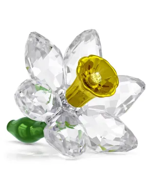 Florere Narciso Swarovski