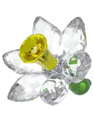 Florere Narciso Swarovski