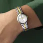 Orologio Mademoiselle Quarzo Grigio Acciaio F20747/1 Donna Festina Orologio Mademoiselle Quarzo Grigio Acciaio F20747/1 Donna Festina