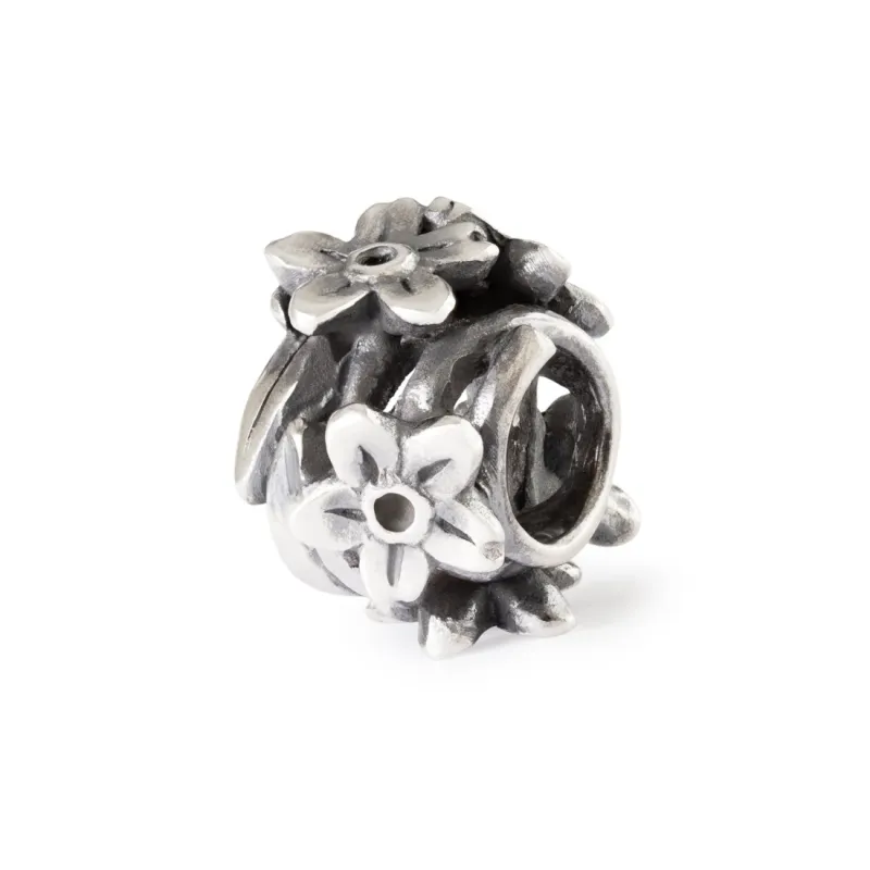 Bead Dolce Nontiscordardime Donna Trollbeads